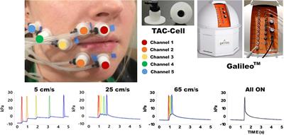 Functional Connectivity Evoked by Orofacial Tactile Perception of Velocity